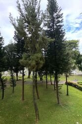 Blk 405 Pandan Gardens (Jurong East), HDB 5 Rooms #571081341